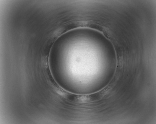 X0000062900383200601131407