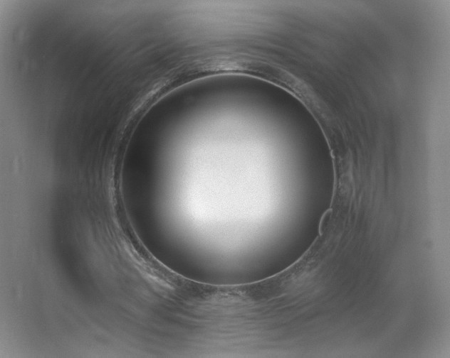 X0000062900386200601131406