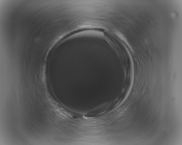 X0000062900387200601131406