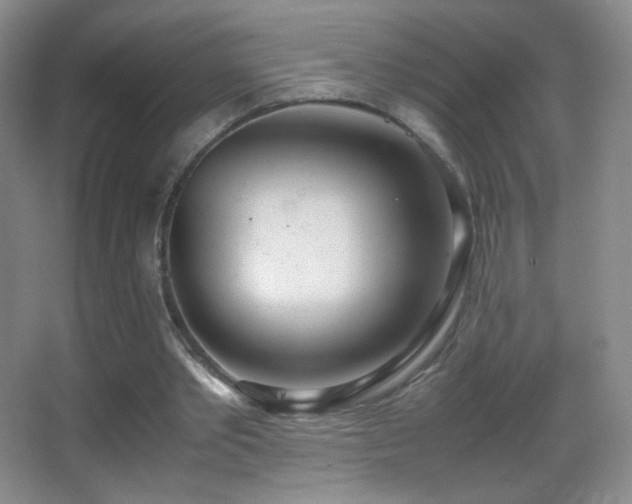 X0000062900389200601131406