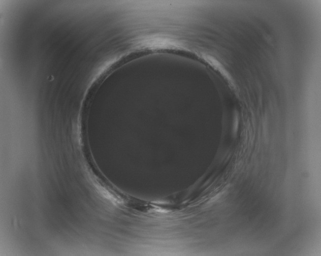 X0000062900391200601131406