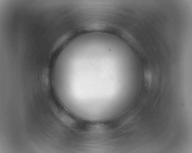 X0000062900396200601131406