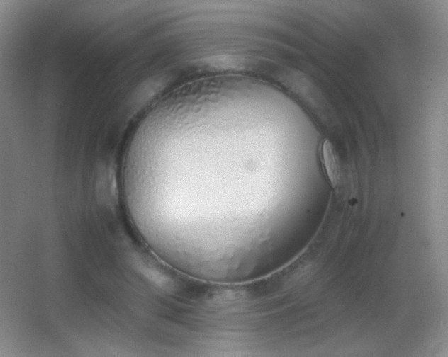 X0000062900398200601131405