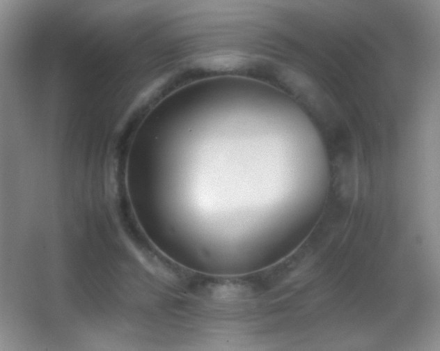 X0000062900400200601131405