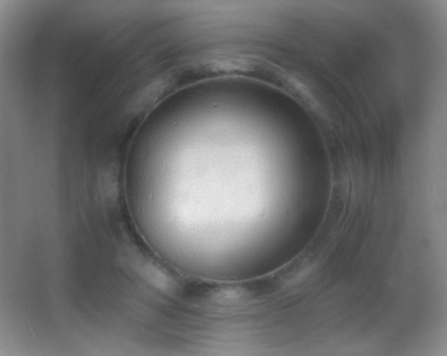 X0000062900402200601131405