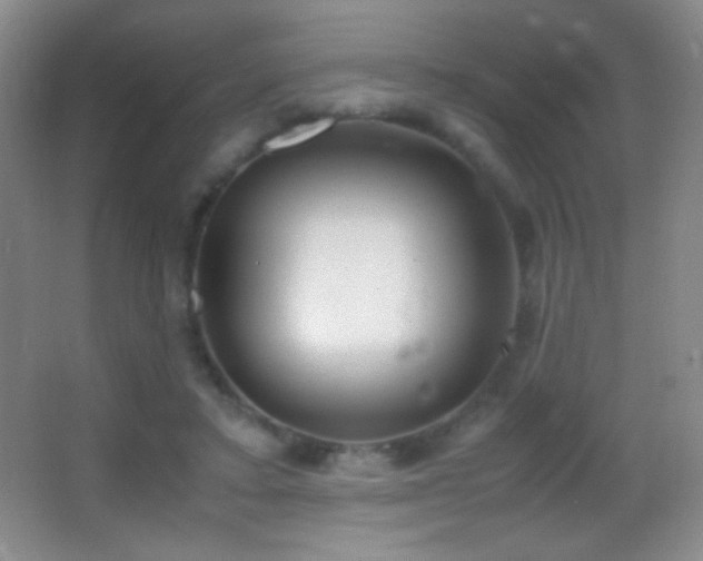 X0000062900403200601131405