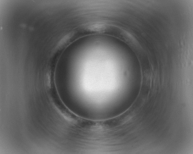 X0000062900404200601131405