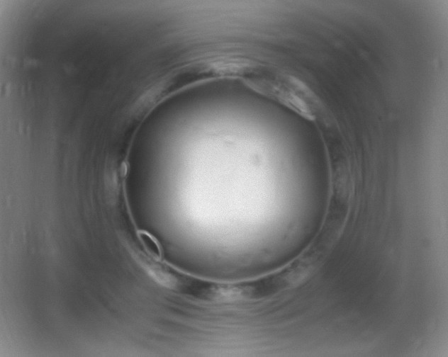 X0000062900405200601131405
