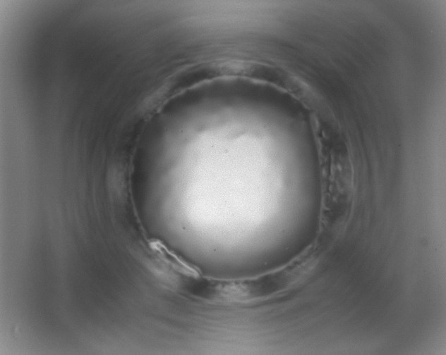 X0000062900409200601131405