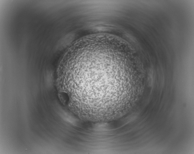 X0000062900410200601131405