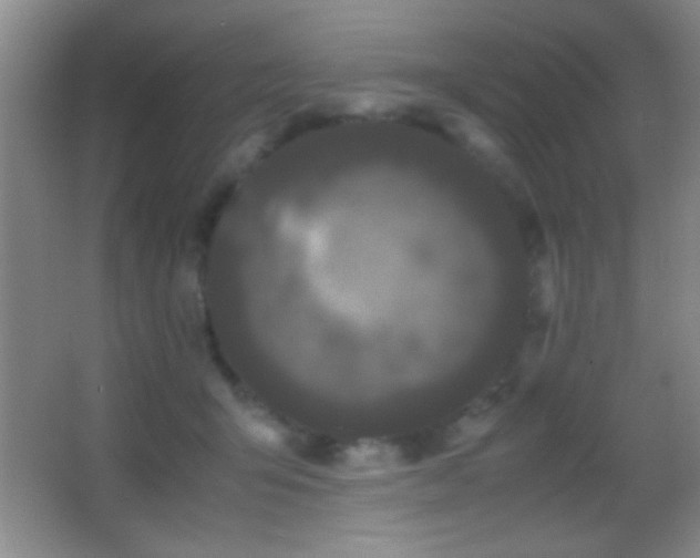 X0000062900415200601131405