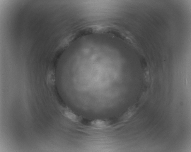 X0000062900419200601131405