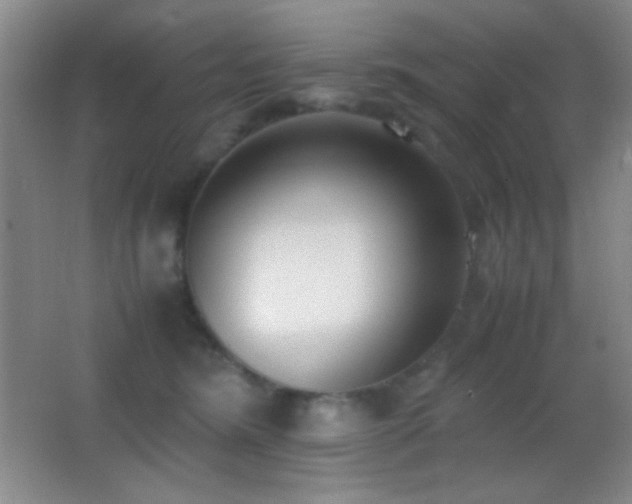 X0000062900420200601131405