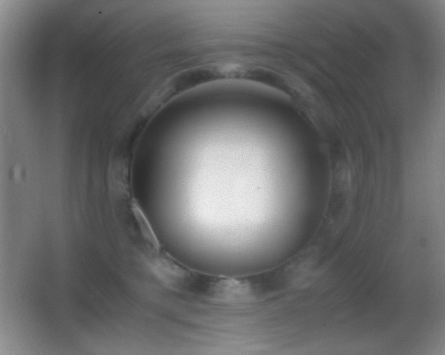 X0000062900421200601131405
