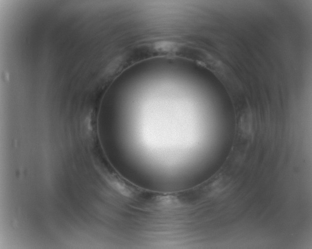 X0000062900424200601131405