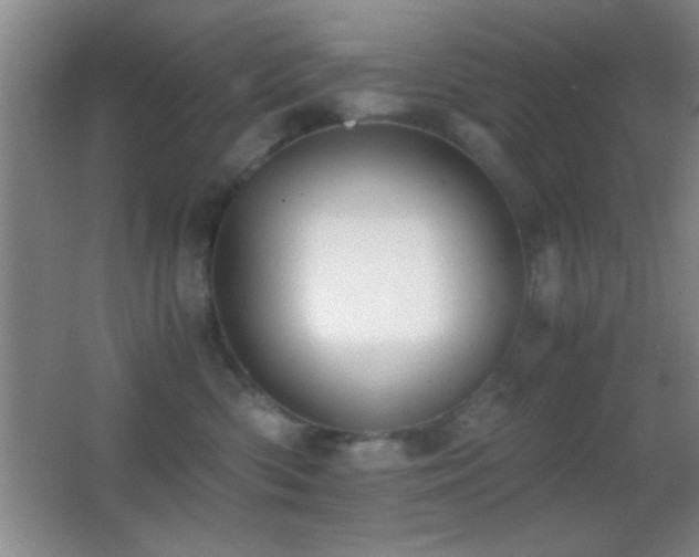 X0000062900426200601131405