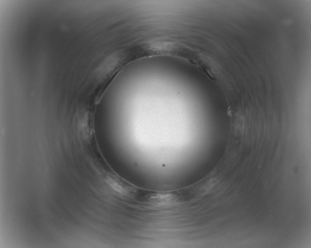 X0000062900428200601131405