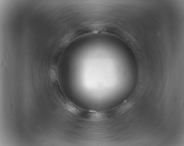 X0000062900432200601131405