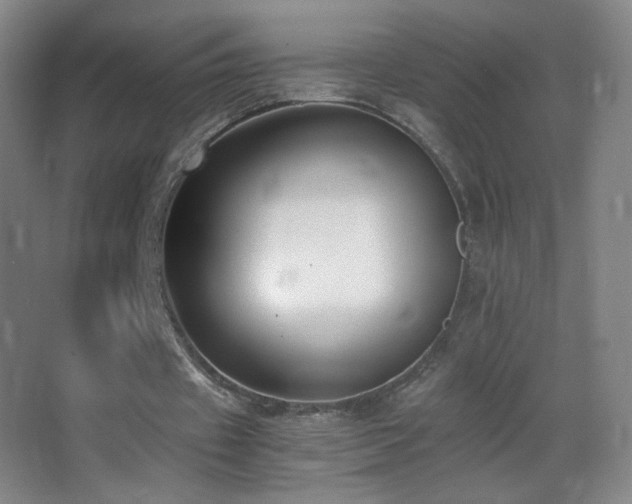 X0000062900433200601131404