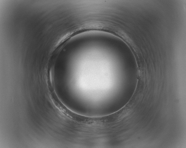 X0000062900434200601131404