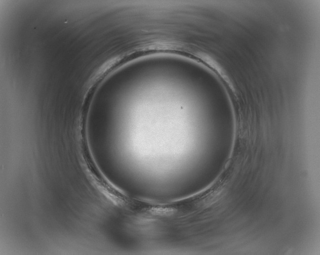 X0000062900437200601131404