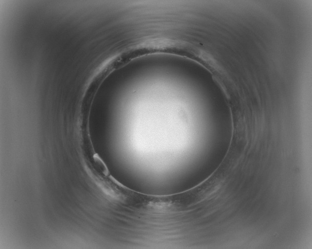 X0000062900440200601131404