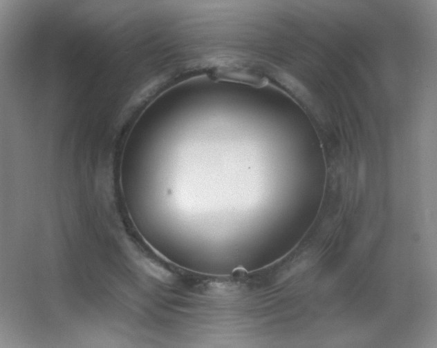X0000062900442200601131404