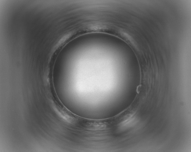 X0000062900443200601131404