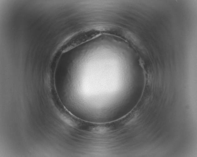 X0000062900444200601131404
