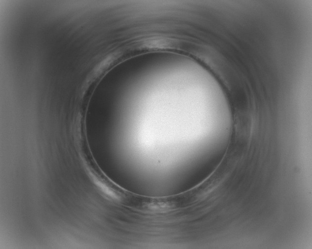 X0000062900445200601131404