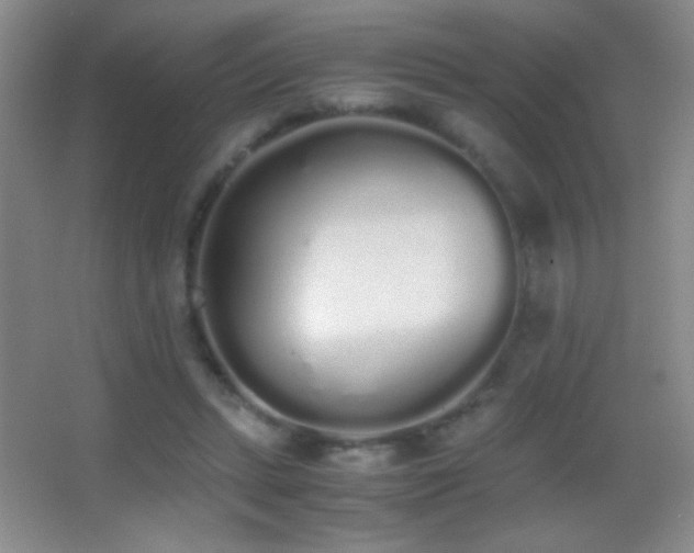 X0000062900447200601131404