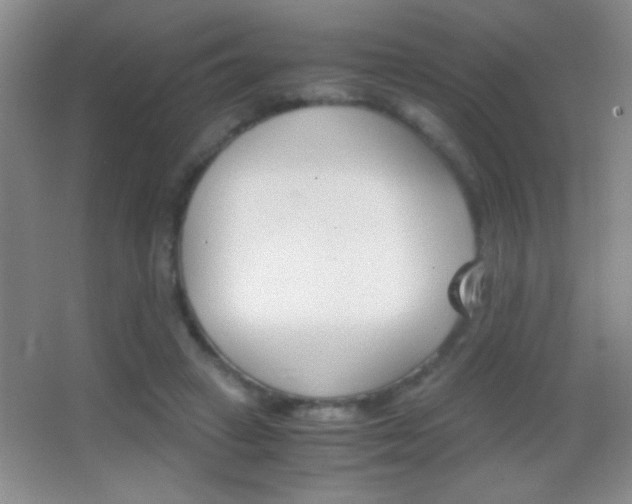 X0000062900449200601131404