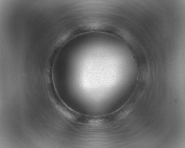 X0000062900450200601131404