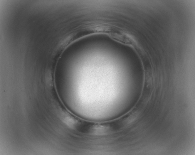 X0000062900453200601131404
