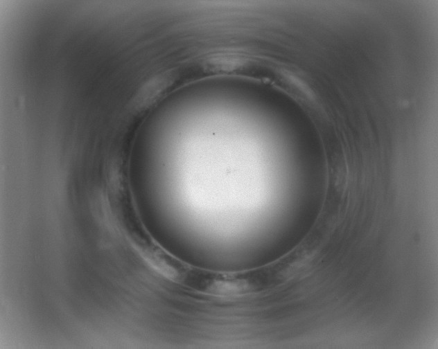 X0000062900455200601131404