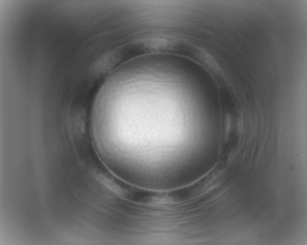 X0000062900458200601131405