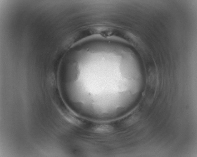 X0000062900459200601131405