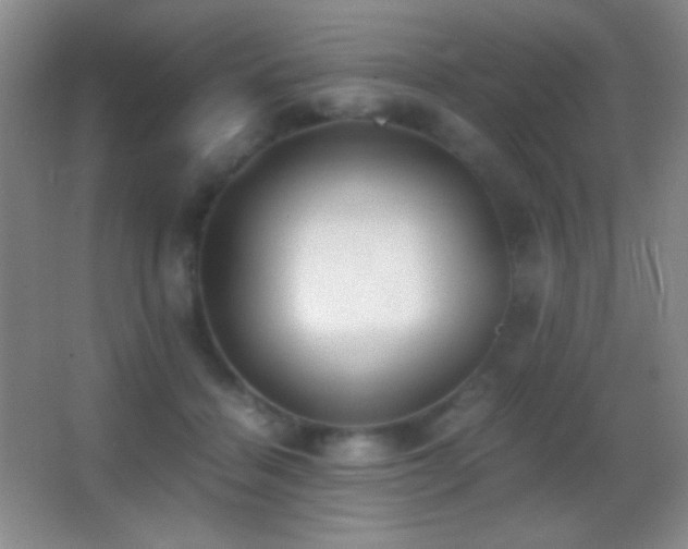 X0000062900460200601131405