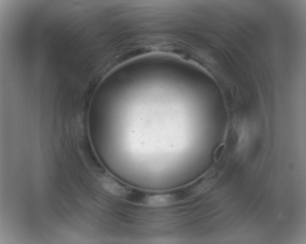 X0000062900461200601131405