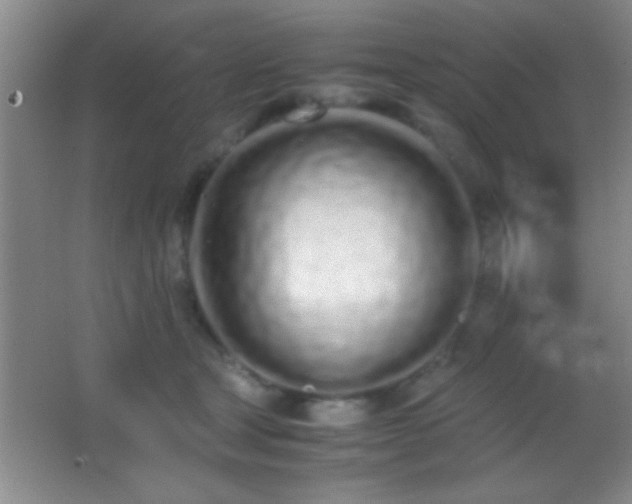 X0000062900465200601131405