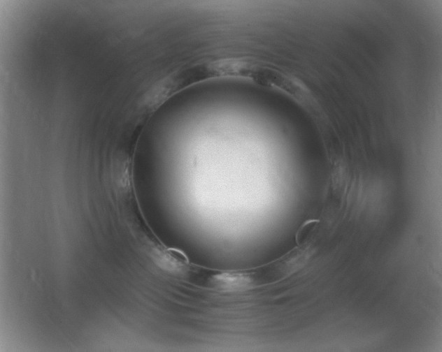 X0000062900477200601131405