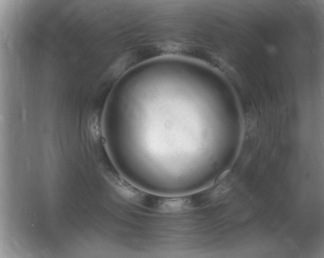 X0000062900479200601131405