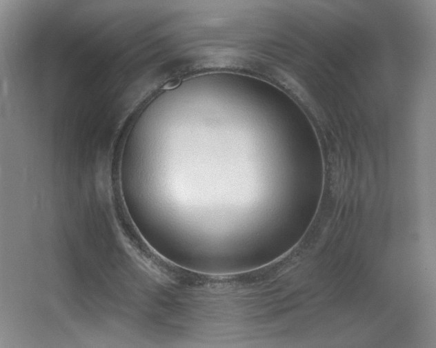 X0000062900482200601131404