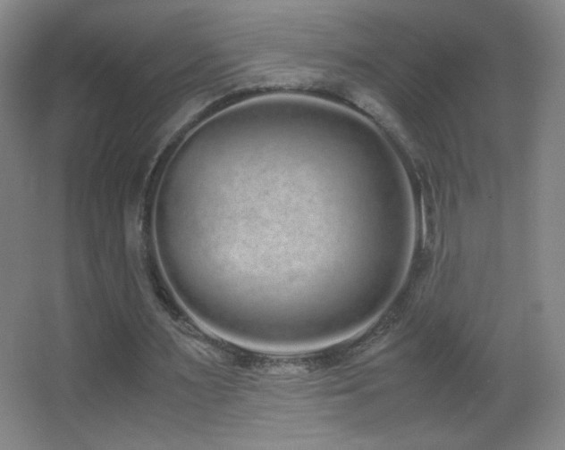 X0000062900483200601131404