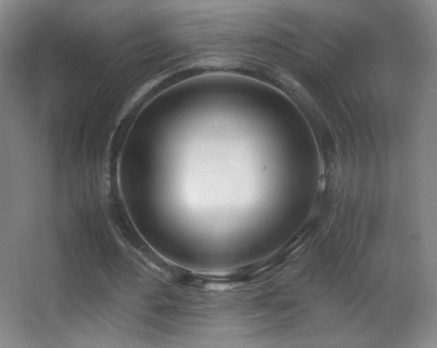 X0000062900484200601131404
