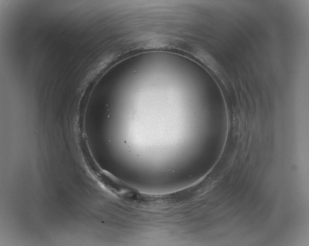 X0000062900485200601131404