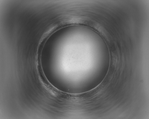 X0000062900486200601131404