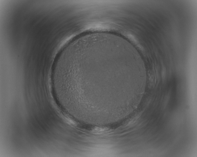 X0000062900487200601131404