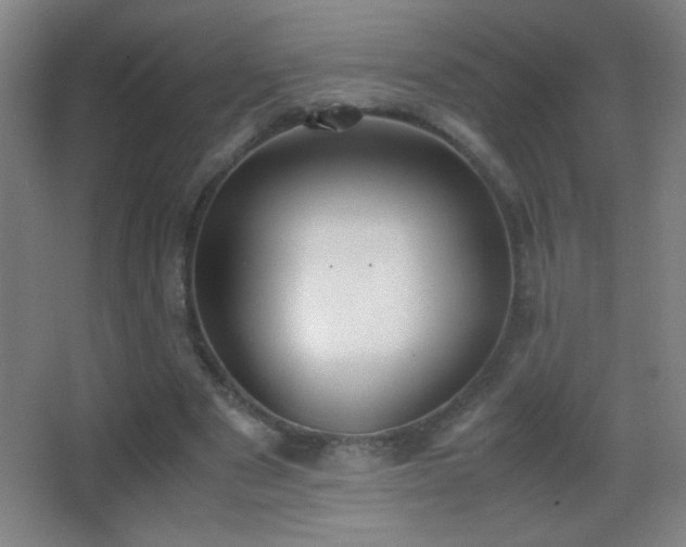X0000062900489200601131404