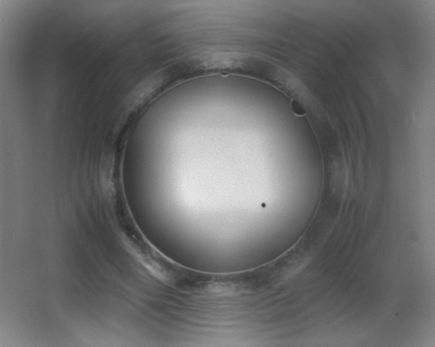 X0000062900490200601131404